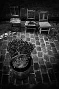 Meanders_of_a_synapse_6