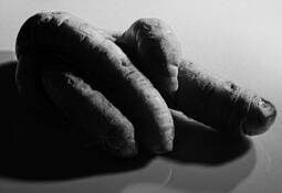 Carrot_fingers