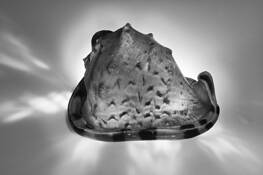 Macro_conch