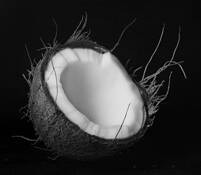 Macro_dry_coconut