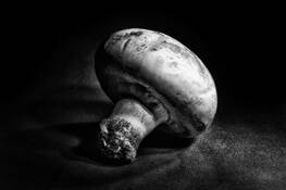 Macro_mushroom
