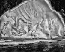 Macro_yuca_in_water