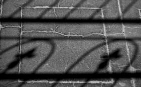 Crypt_floor_shadow