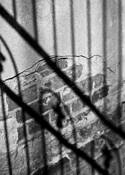 Exposed_brick_shadow