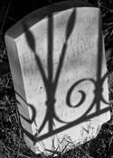 Shadow_of_the_grave