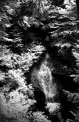 Waterfall_in_infrared