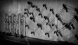Purloined_10