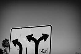 Purloined_4