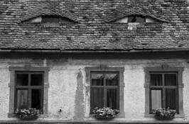 Watcher_house