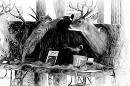 Fredericksburg_hunting_display