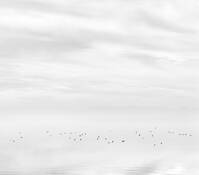 Untitled_1