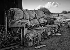 Untitled_6
