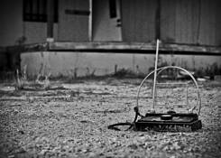 Untitled_7