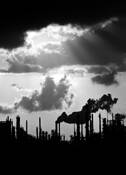 Refinery