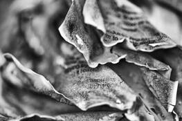 Ashes_number_7