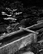 The_flume_at_roaring_fork_mill