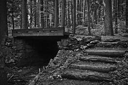 A_bridge_to_cross