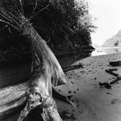 Log