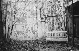 Hidden_peace_corner