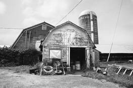 Dairy_farm