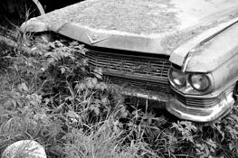 Hay_on_cadillac