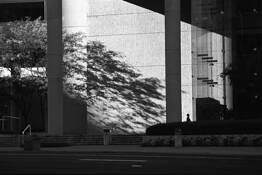 Woman_alone