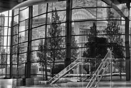 Urban_contemplation_5