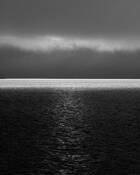 If_rothco_saw_in_black_and_white