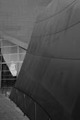Disney_hall