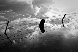 Wetlands_fence