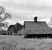 Cabin_in_the_woods