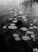 Untitled_3