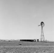 Water_hole
