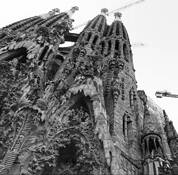 Untitled_1