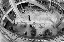 Untitled_1