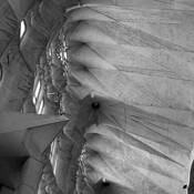 Untitled_10