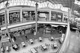 Untitled_10