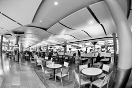 Untitled_11