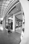 Untitled_12