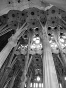 Untitled_6