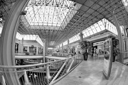 Untitled_6