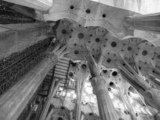 Untitled_7