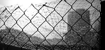 Fence