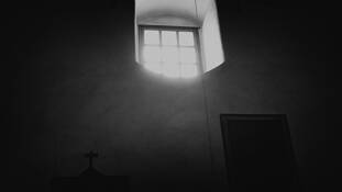 The_light
