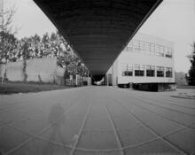 Untitled_3