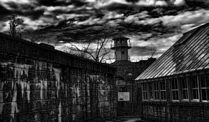 Untitled_5