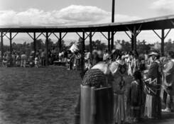 Pow_wow_6