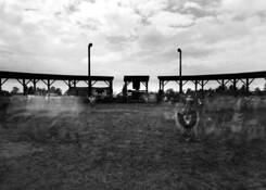 Pow_wow_8