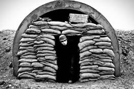 Untitled_12