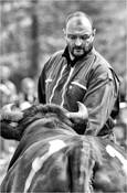 Cow_fights_12